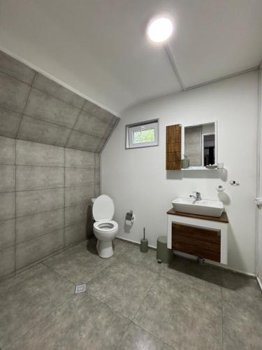 a bathroom with a toilet and a sink at Racha Hills in Ambrolauri