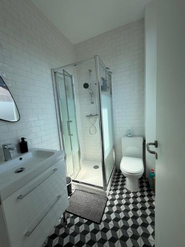 a bathroom with a shower and a toilet at Les chtis voyageurs appartement 2 chambres terrasse in Marcq-en-Baroeul