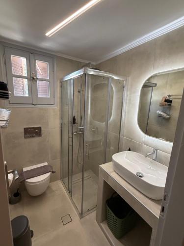 a bathroom with a shower and a toilet and a sink at Anassa Homes Leros in Agia Marina