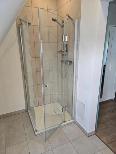 a shower with a glass door in a bathroom at Ferienwohnung am Hainer Berg in Heigenbrücken