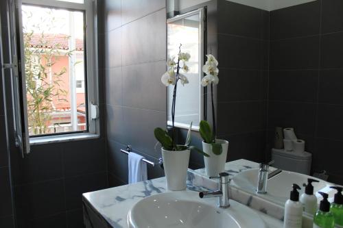 Планировка The Sky Lofts Lisbon - Guesthouse