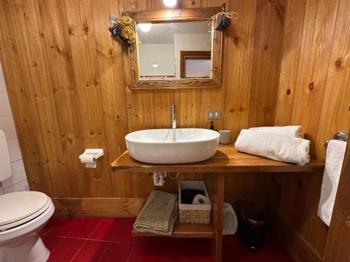 a bathroom with a sink and a toilet and a mirror at Baita Meyen - Val Ferret in Courmayeur