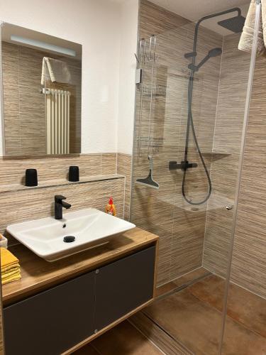 a bathroom with a sink and a shower at Loggia in Stockach
