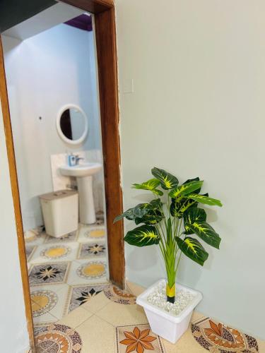 a bathroom with a mirror and a potted plant at Zarex homes 1 in Mbale