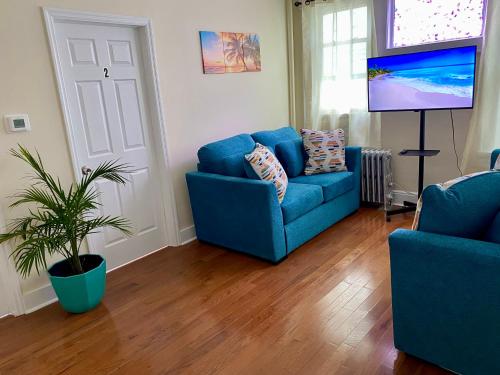 a living room with a blue couch and a tv at CaneView Properties - 1 in Irvington