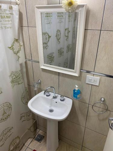 a bathroom with a sink and a shower at Heart Viedma in Viedma