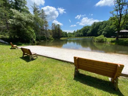 two park benches sitting in the grass next to a river at Beary Blessed Cabin in Fleetwood