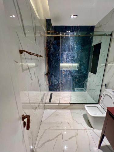 a bathroom with a shower and a toilet at Mac Residence in Lagos