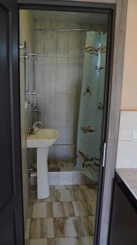 a bathroom with a sink and a shower at Jermuk gaden in Kechʼut
