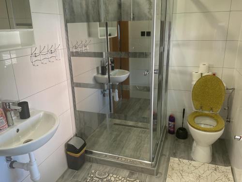 a bathroom with a shower and a toilet and a sink at Homestay Renata in Nová Lesná