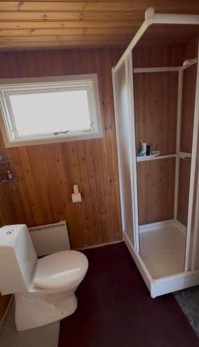 a bathroom with a white toilet and a shower at Olga Apartments in Grundarfjordur