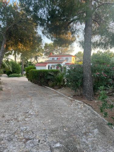a house with a tree and a driveway at Chalet con piscina en Carmona in Carmona