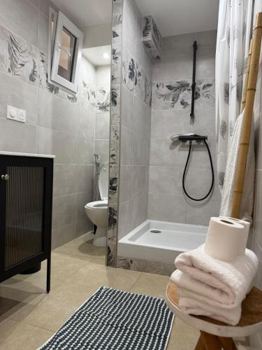 a bathroom with a shower and a toilet and a tub at Superbe T2 au rez-de-chaussée avec jardin in Arles