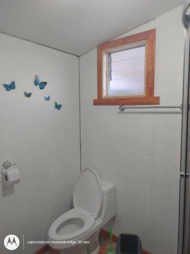 a bathroom with a toilet and a window and butterflies on the wall at Departamento con tinaja in Llanquihue