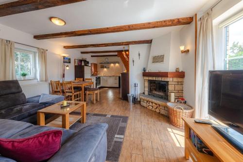 a living room with a couch and a fireplace at Ferienhaus Loppin in Jabel