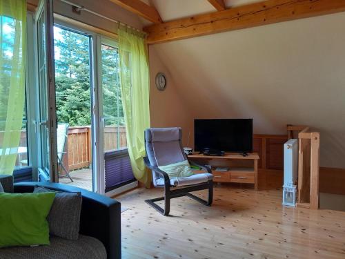 a living room with a chair and a television at Tannenblick Loppin DG in Jabel
