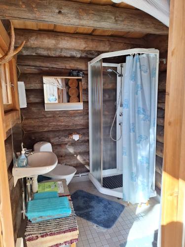 a bathroom with a shower and a sink at Kelola Cottage in Keyritty