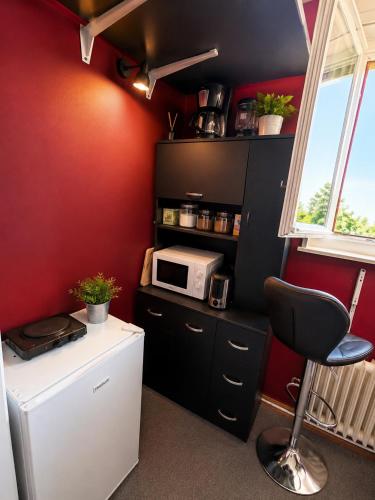 a kitchen with a white refrigerator and a microwave at Nyon Red room in Nyon