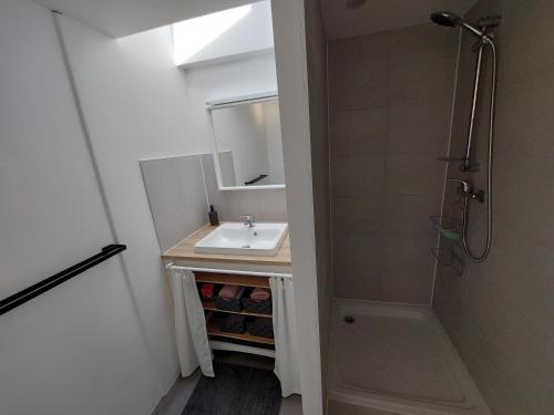 a bathroom with a sink and a shower at Gite des Anglais in Marnay