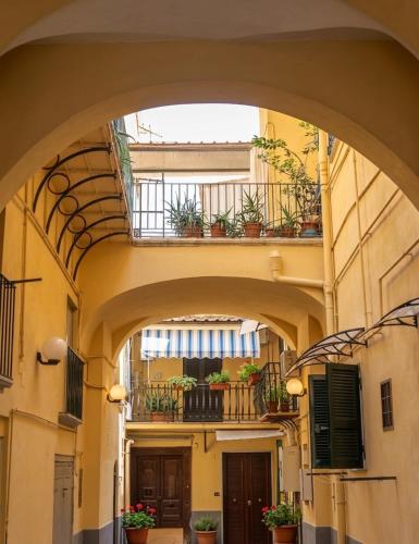 House sciò sciò