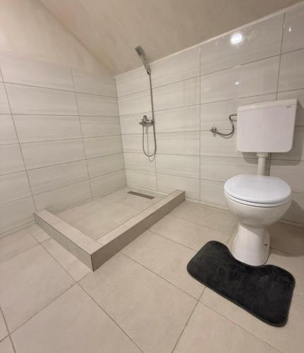 a white bathroom with a toilet and a shower at Domaćinstvo Kondić in Podovi