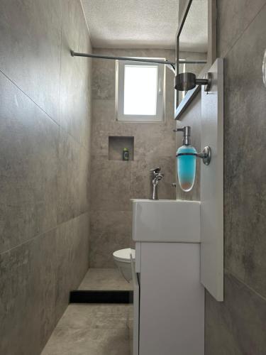 a bathroom with a sink and a toilet at Center apartment in Gnjilane