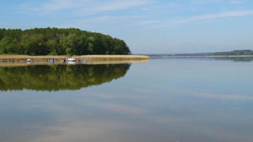 a large body of water with trees in the background at Ferienwohnung Seedorf in Basedow
