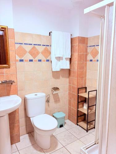 a bathroom with a toilet and a sink at Hotel Alandalus in Torrox