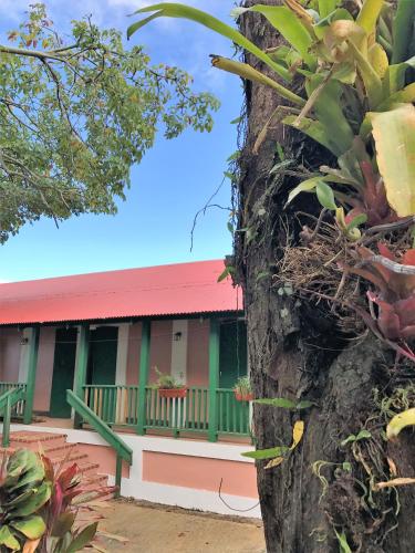 a house with a green roof and a tree at Hacienda Juanita in Maricao