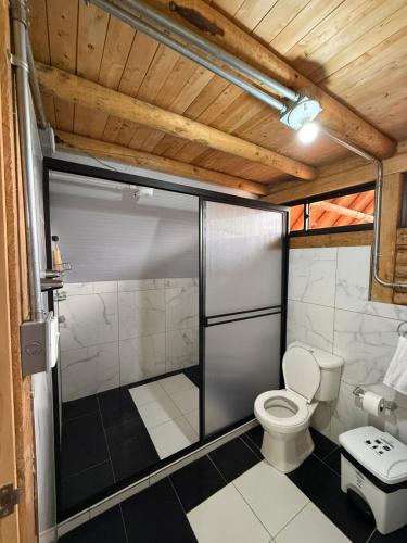 a bathroom with a shower with a toilet in it at Chalet Amar in Mazo