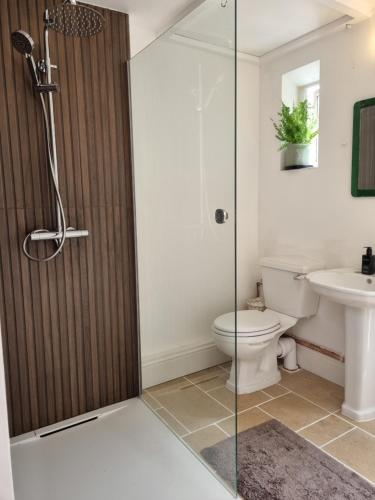 a bathroom with a shower and a toilet and a sink at Room at Lindley in Ludlow