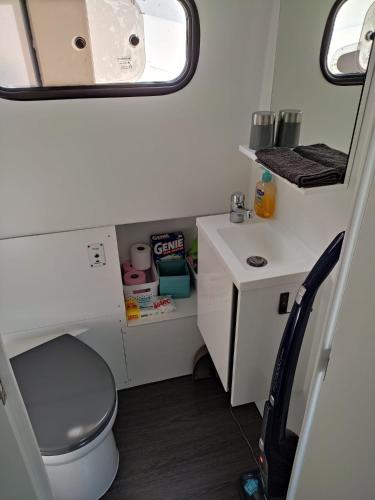 a small bathroom with a toilet and a sink at Rem'Ann boat in Briare