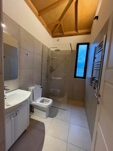 a bathroom with a toilet and a sink at Amper Villa Dilijan in Dilijan