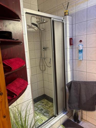 a shower with a glass door and red towels at Horváth Apartmanház in Szigliget