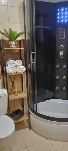 a bathroom with a shower and a toilet at Apartament w centrum in Biskupiec
