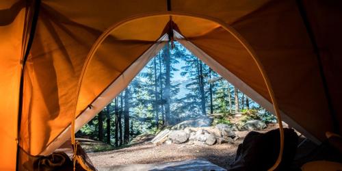 an inside of a tent with a picture of a forest at Nurral - TENT in Fertilia