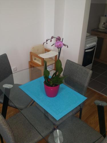 Photo de la galerie de l'établissement Apartment Jelena, à Zrenjanin