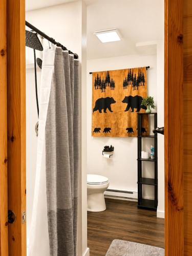 a bathroom with a shower curtain and a toilet at Clocked Out Cabin with Lake Access, Fire Pit, Games in Blakeslee