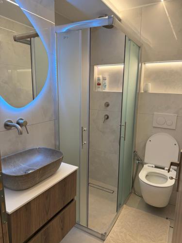 LM Comfort Apartment