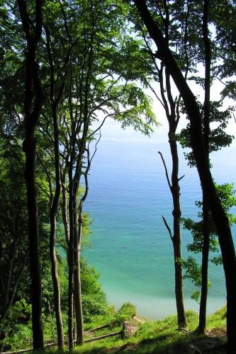 a view of the ocean through the trees at Apartment Feodora in Sassnitz