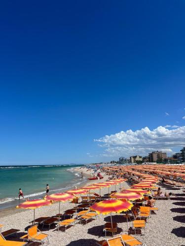 ein Strand mit vielen Sonnenschirmen und Menschen im Wasser in der Unterkunft Hotel Sassonia in Fano