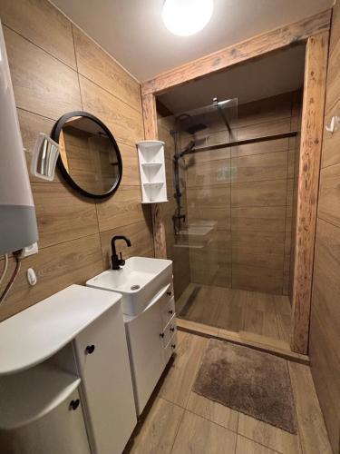a bathroom with a shower and a sink and a mirror at Rodzinne Zacisze in Radawa