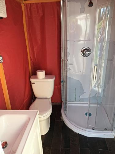 a small bathroom with a toilet and a shower at mountain glambing in Tappen