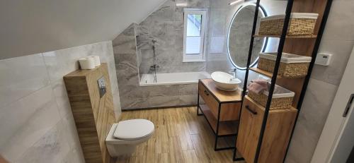 a bathroom with a toilet and a sink and a mirror at Mazury Lake House Jerutki in Jerutki