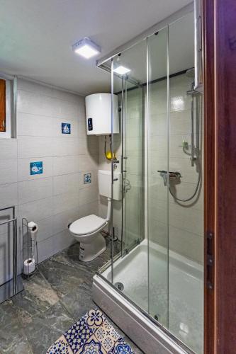a bathroom with a shower and a toilet at Dedekov gaj in Oteš