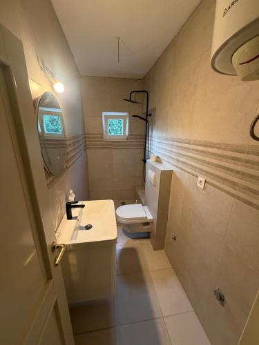 a small bathroom with a toilet and a sink at B-I Apartmani in Glavatske Kućice