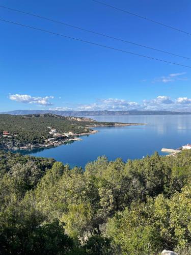 a view of a lake from a mountain at Hvar-Zarace Ina 2 in Gdinj