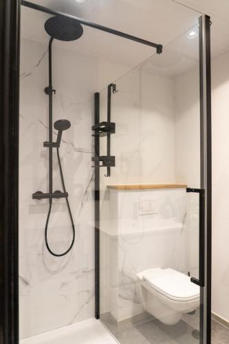 a bathroom with a shower and a toilet at L'aparté in Rochefort