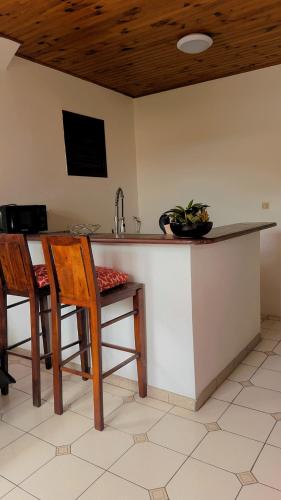 a kitchen with a counter with a bowl of bananas at Kéra Lodge in Rivière-Pilote