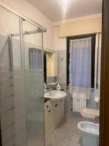 a bathroom with a shower and a sink and a toilet at La casa di RÒ in Avegno